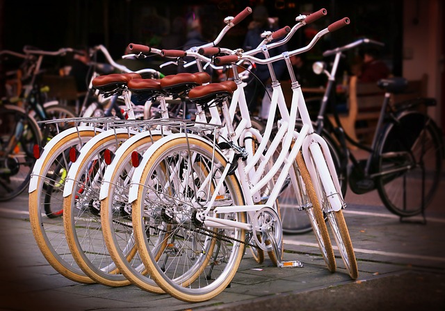 Het belang van efficiënt fietsparkeren in de Nederlandse steden